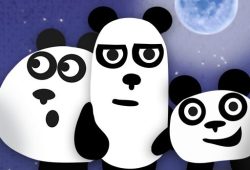 3 Pandas 2. Night