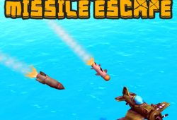 Airplane Missile Escape