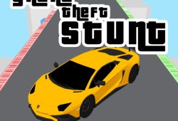 Grand Theft Stunt