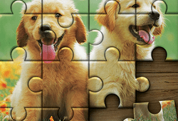 Jigsaw Puzzle