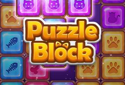 Puzzle de bloques