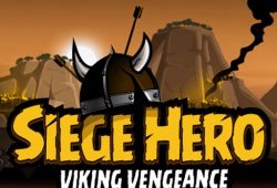 Siege Hero Viking Vengeance