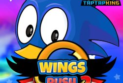 Wings Rush 2